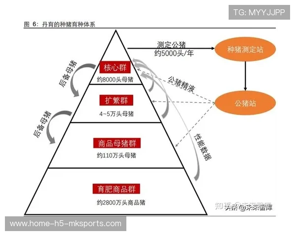 体系优势逐渐显现（269 ）