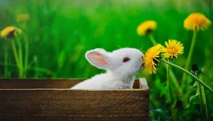 mk体育全站-球队内务协调能力是否被高压比赛磨合得以夯实