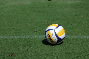 MK在线服务-女排世锦赛：中国队力压群雄，奖牌不断！，女排世锦赛名额